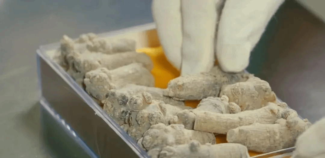 TG反波胆·(中国区)官方网站