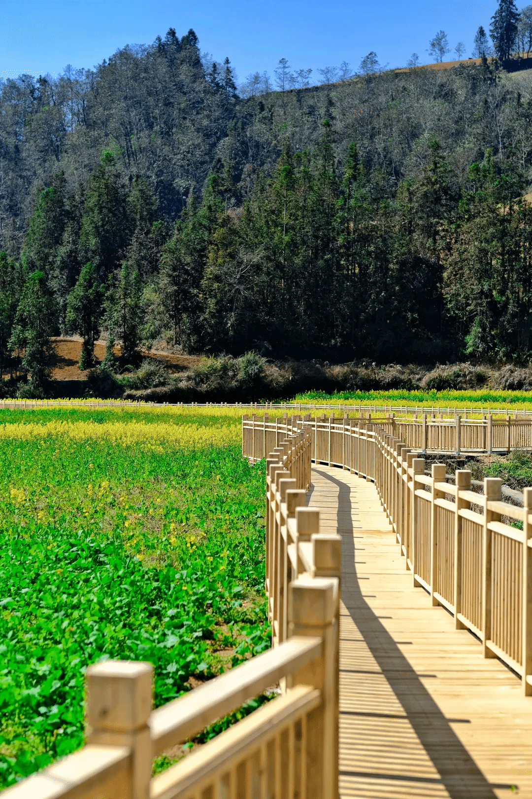 TG反波胆·(中国区)官方网站