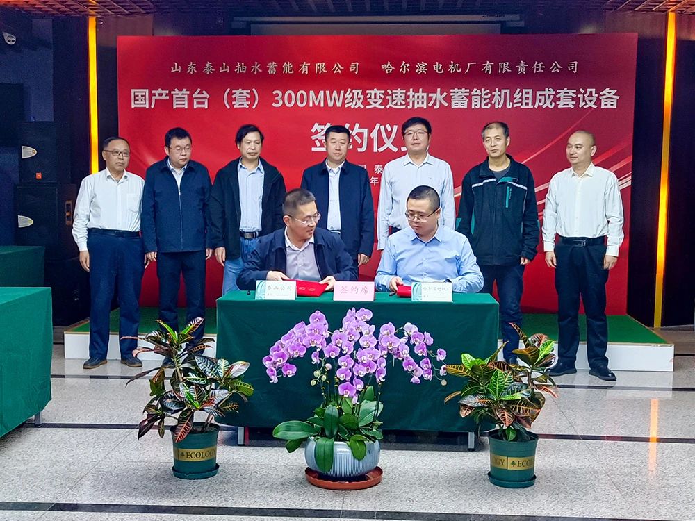 TG反波胆·(中国区)官方网站