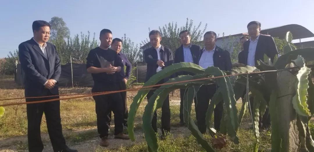 TG反波胆·(中国区)官方网站