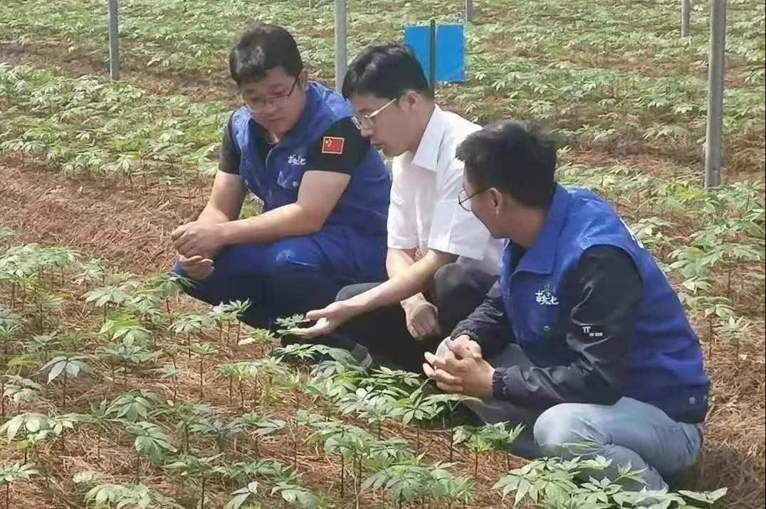 TG反波胆·(中国区)官方网站