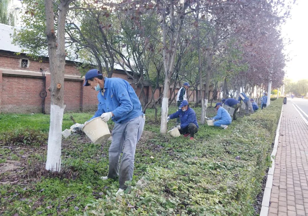 TG反波胆·(中国区)官方网站