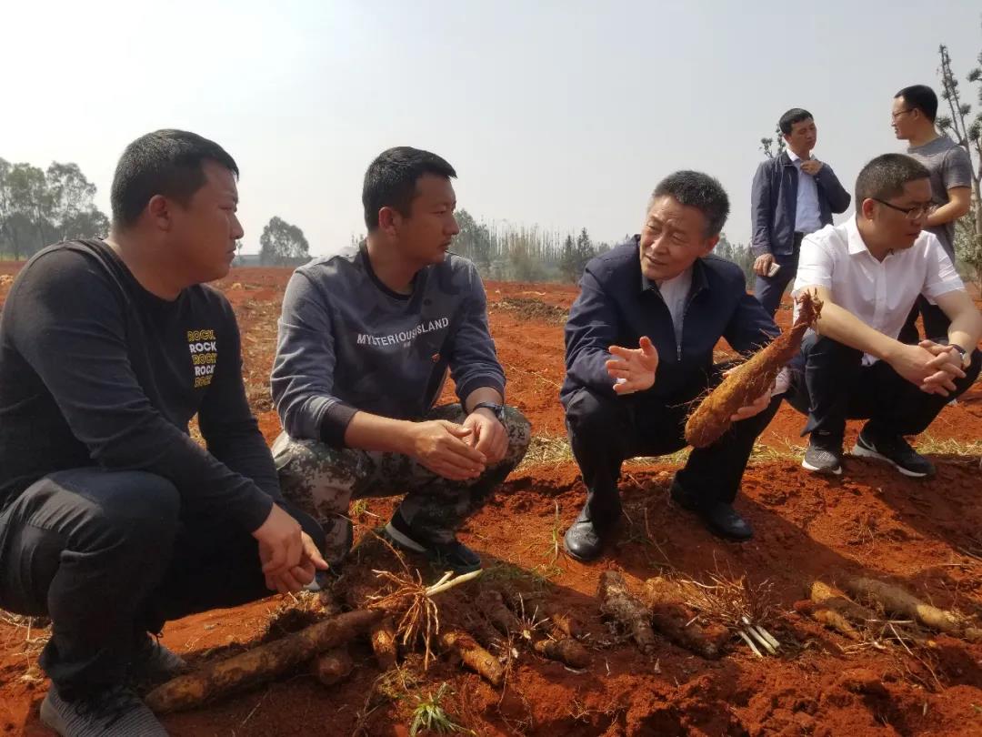 TG反波胆·(中国区)官方网站