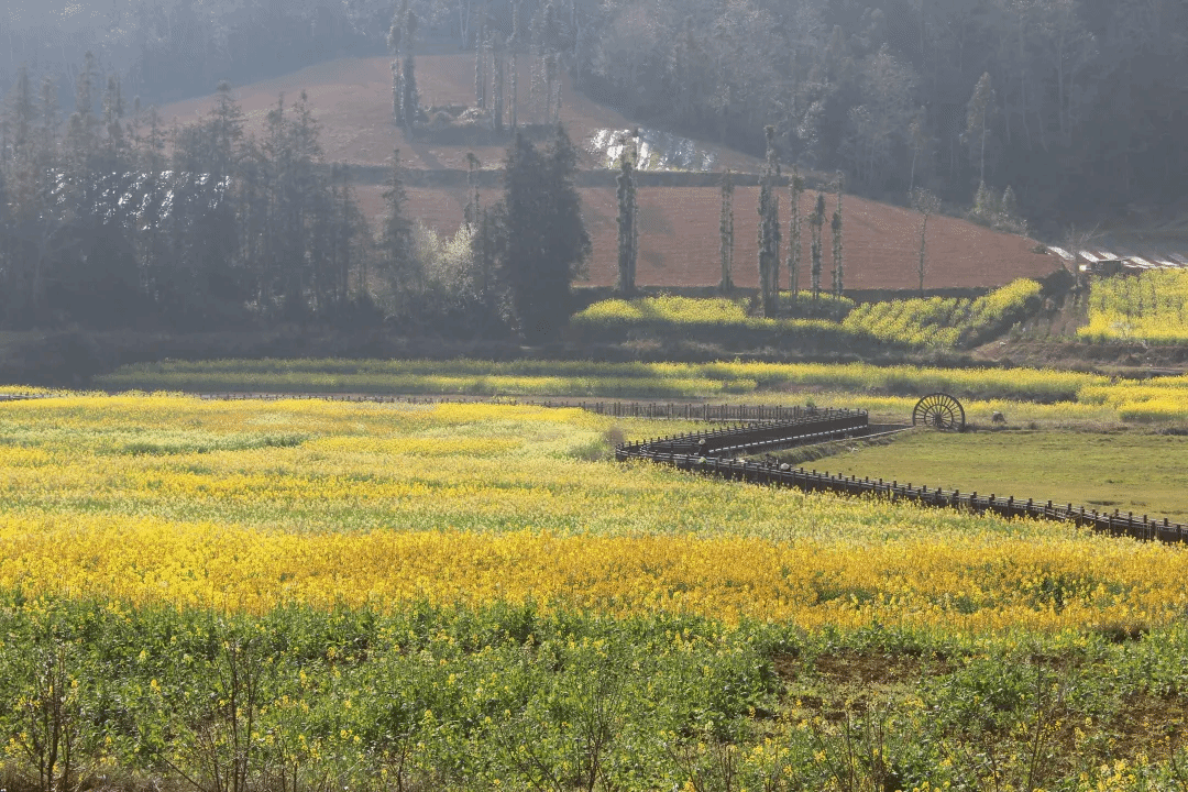 TG反波胆·(中国区)官方网站
