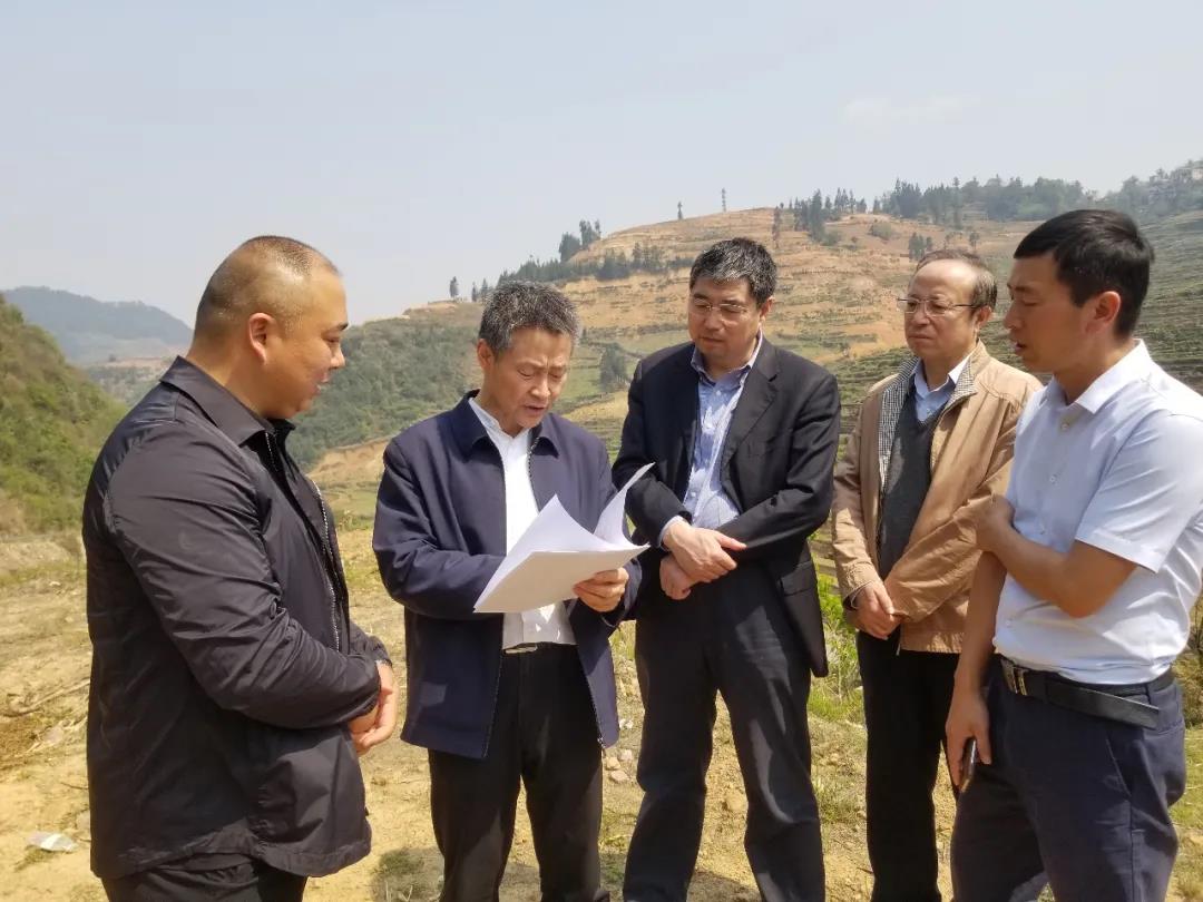 TG反波胆·(中国区)官方网站